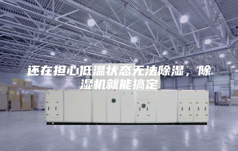 還在擔心低溫狀態無法除濕，除濕機就能搞定