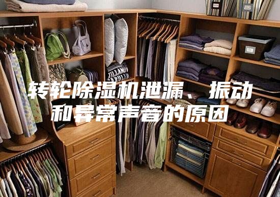 轉輪除濕機泄漏、振動和異常聲音的原因