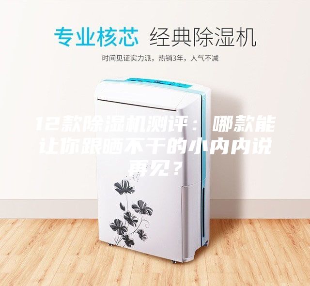 12款除濕機測評：哪款能讓你跟曬不干的小內(nèi)內(nèi)說再見？