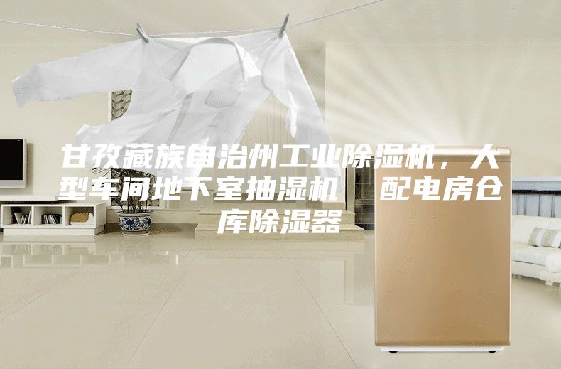 甘孜藏族自治州工業(yè)除濕機(jī),大型車間地下室抽濕機(jī) 配電房倉庫除濕器