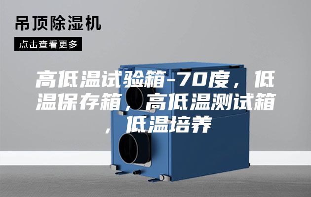 高低溫試驗(yàn)箱-70度，低溫保存箱，高低溫測(cè)試箱，低溫培養(yǎng)